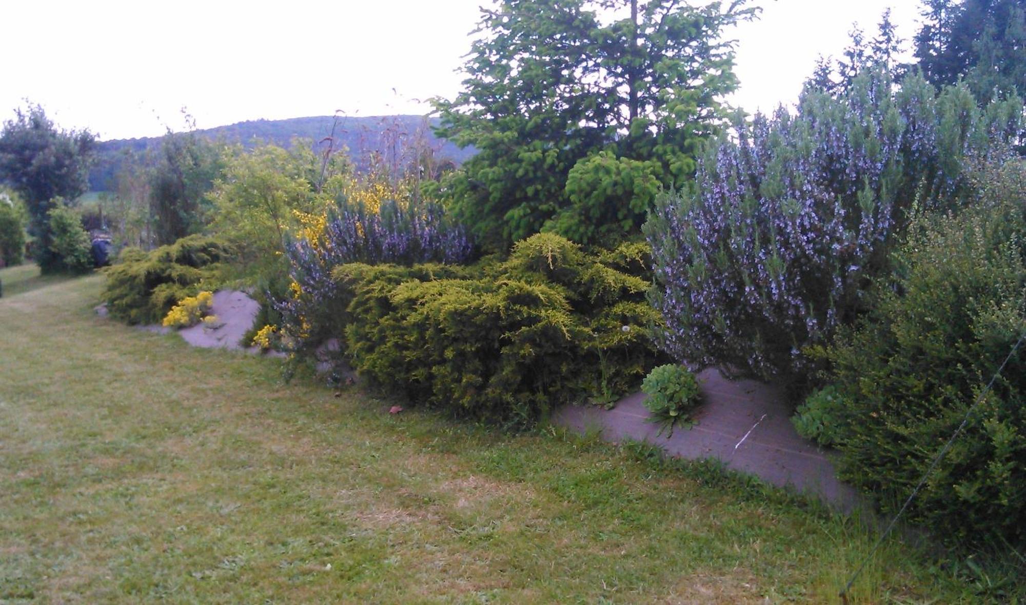 Gite Et Chambres D'Hotes Gandelain Exteriör bild
